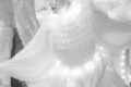les ombres blanches 11